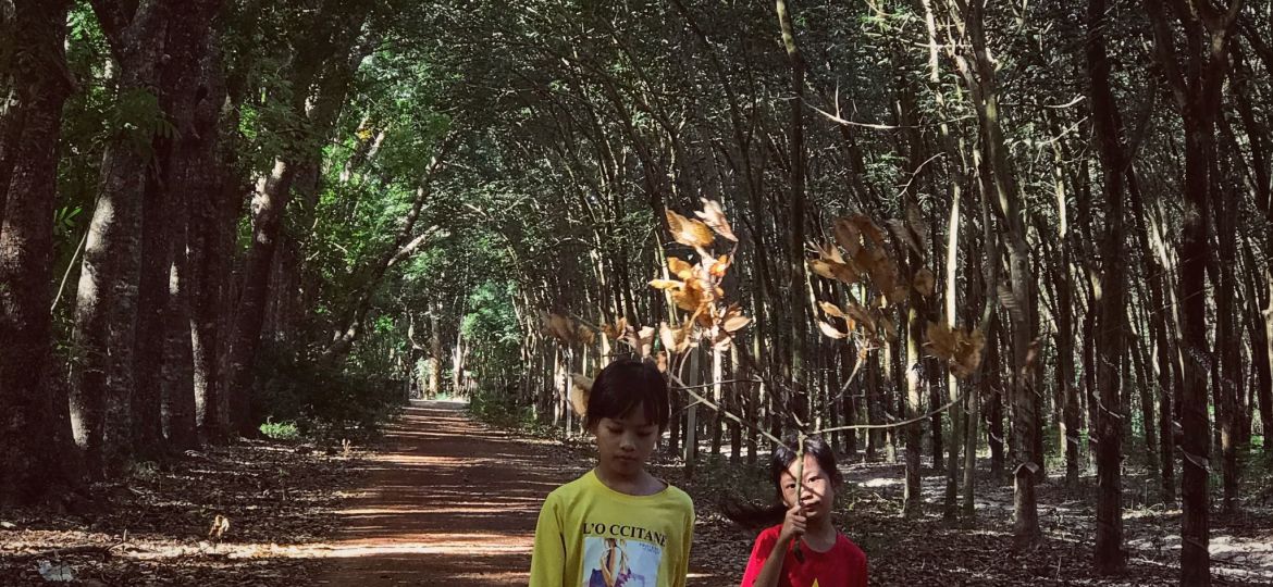 Snapseed(5)-tayninh